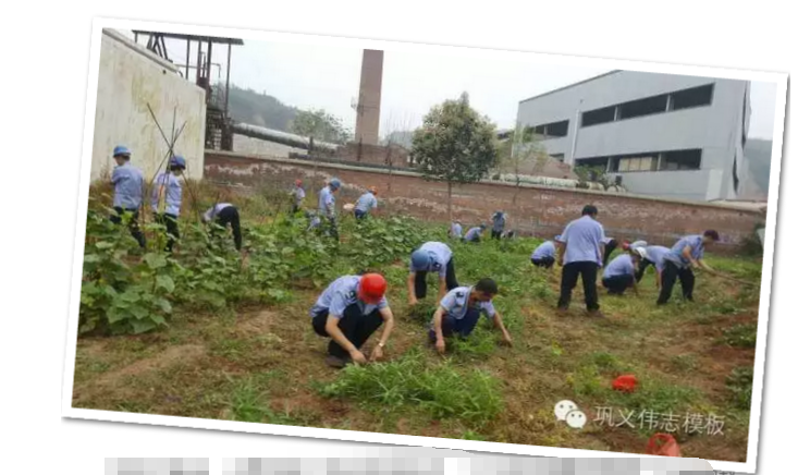 員工冒雨參加義務勞動！感動———偉志鋼模板廠家