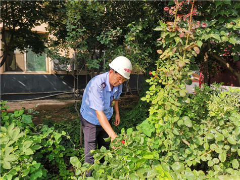 河南偉志模板來保軍——美麗的花園,來自辛勤的勞動